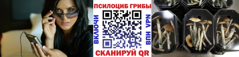 Псилоцибиновые грибы Psilocybe  MEGA сайт  Лангепас  что такое  