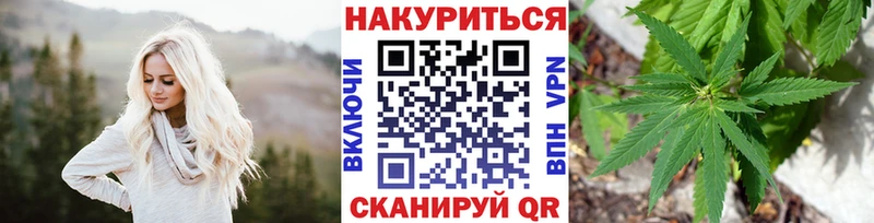 Бошки Шишки семена  Лангепас 